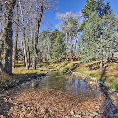 Cozy Colorado Cabin With Deck, Grill And River Access! Buena Vista Extérieur photo