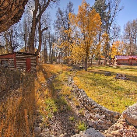 Cozy Colorado Cabin With Deck, Grill And River Access! Buena Vista Extérieur photo