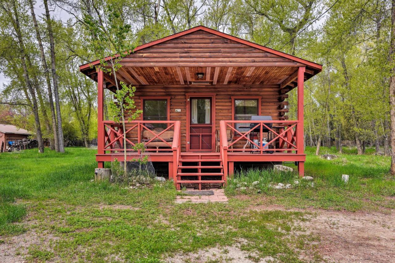 Cozy Colorado Cabin With Deck, Grill And River Access! Buena Vista Extérieur photo