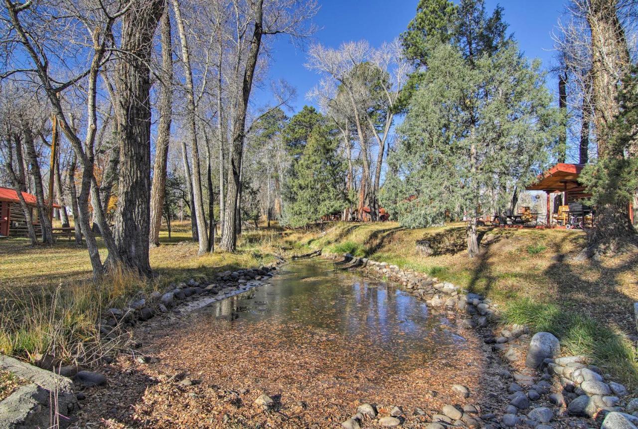 Cozy Colorado Cabin With Deck, Grill And River Access! Buena Vista Extérieur photo