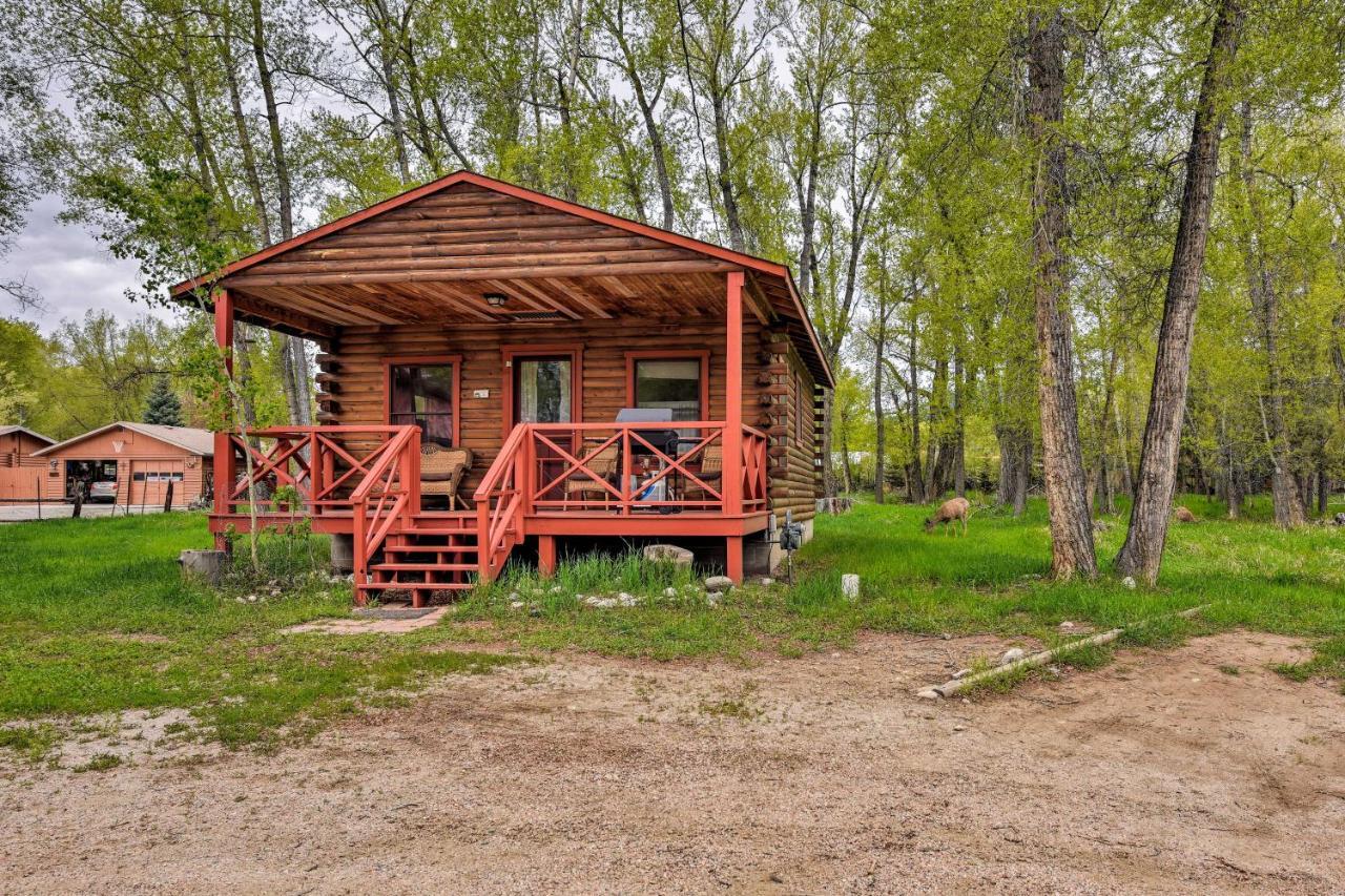 Cozy Colorado Cabin With Deck, Grill And River Access! Buena Vista Extérieur photo