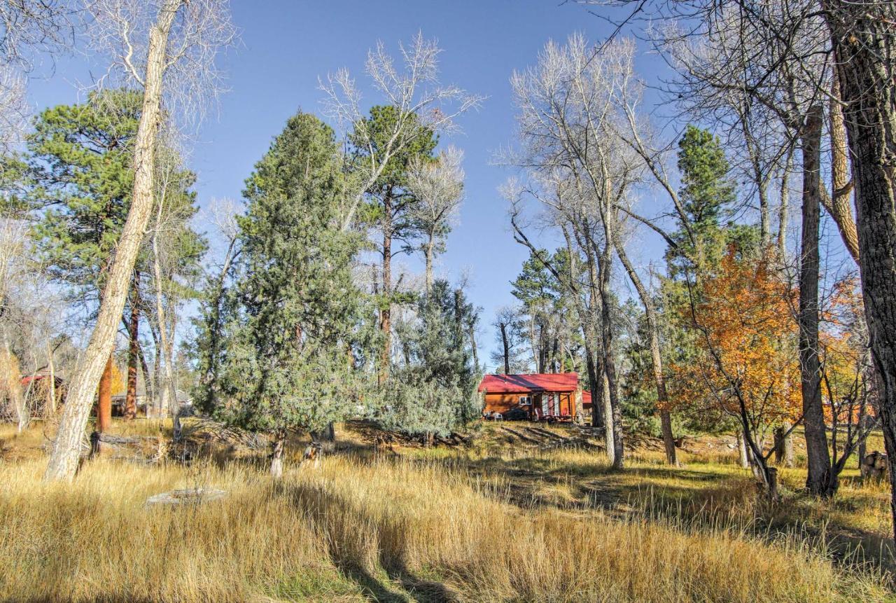 Cozy Colorado Cabin With Deck, Grill And River Access! Buena Vista Extérieur photo